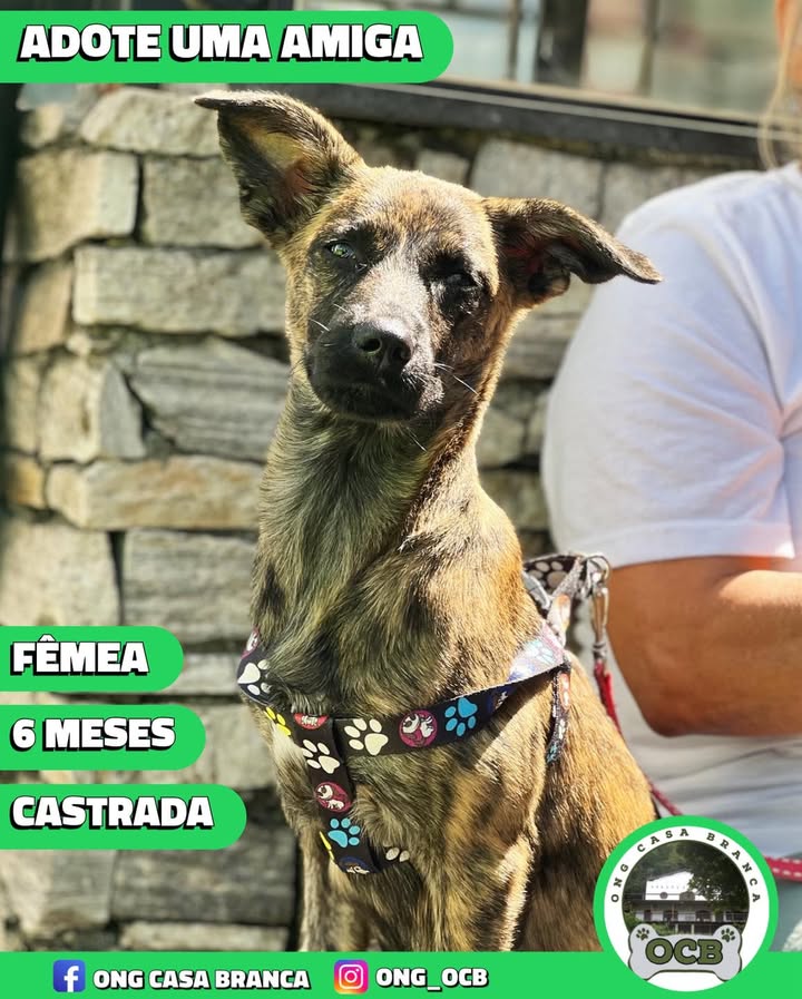Foto de Tag